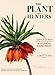 The Plant Hunters: The Adventures of the World's Greatest Botanical Explorers