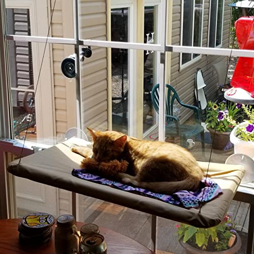 NOYAL Cat Window Perch Seat Hammock Strong Suction Cups Holds Up to