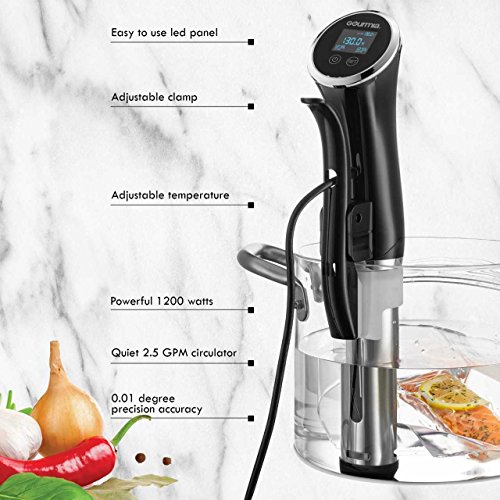 Gourmia GSV138 Digital Sous Vide Machine Pod Immersion Circulator
