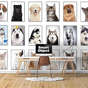 Wall Murals for Bedroom Beautiful Pictures Collection Removable Wallpaper Peel and Stick Wall Stickers - 66x96 inches