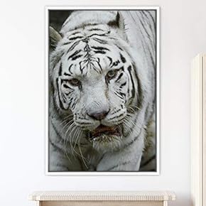 signwin Framed Canvas Wall Art Tiger Animals Chic...
