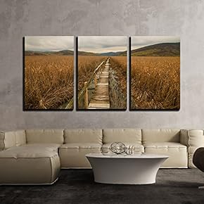 3 Piece Canvas Wall Art - Wooden Path Through Field - Modern Home Art Stretched and Framed Ready to Hang - 16"x24"x3 Panels