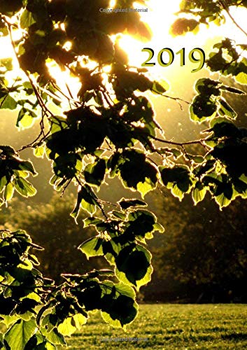 MY BIG FAT CALENDAR 2019 - leaves in the sun (GB & US) - 1 day per page, DIN A4