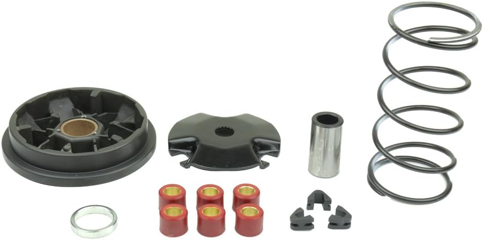 Athena P400485110001 Speed Variator