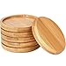 Frienda Trays 2.52 Inch Bamboo Round Plant Saucer for Most Plant Pot Flower Saucers Tray, Solution for Owl Pot with Hole(6 Pack)