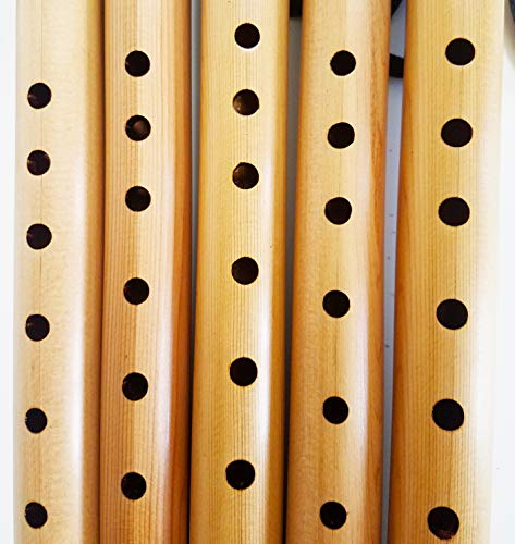 Stellar Basic Flute Key of F# - Native American Style Flute with Carrying Case (Natural Light Cedar)