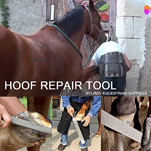 UJD Farrier Tools Professional Farrier Tool Kits Hoof Rasp Hoof Nippers Hoof Knife Horses Hoof