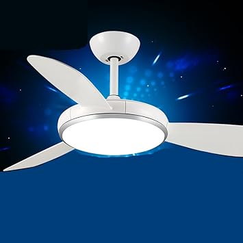 Aorakilights Northern Europe Silent Ceiling Fan Light Led