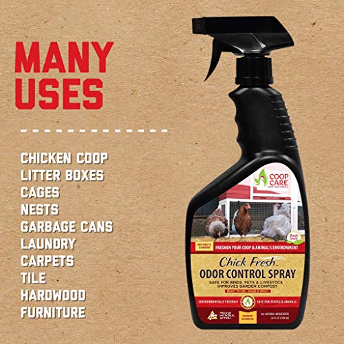 3 Chick+Fresh+Backyard+Chickens+Eliminator