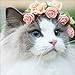 Lavany Clearance!Cat Full Drill 5D Diamond Painting DIY Diamond Paints by Number Kits Rhinestone Pasted Embroidery Wall Decorations (Cat)