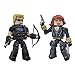Marvel Minimates Series 17 Hawkeye and Black Widow