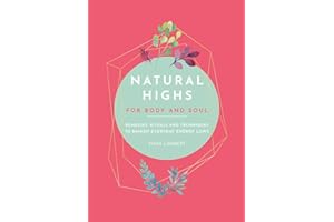 Natural Highs: 70 Instant Energizers for Body and Soul