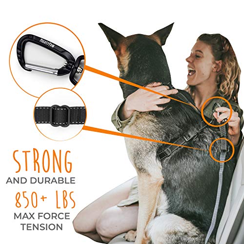 3 Mighty+Paw+Attachment+Tangle+Free+Adjustable
