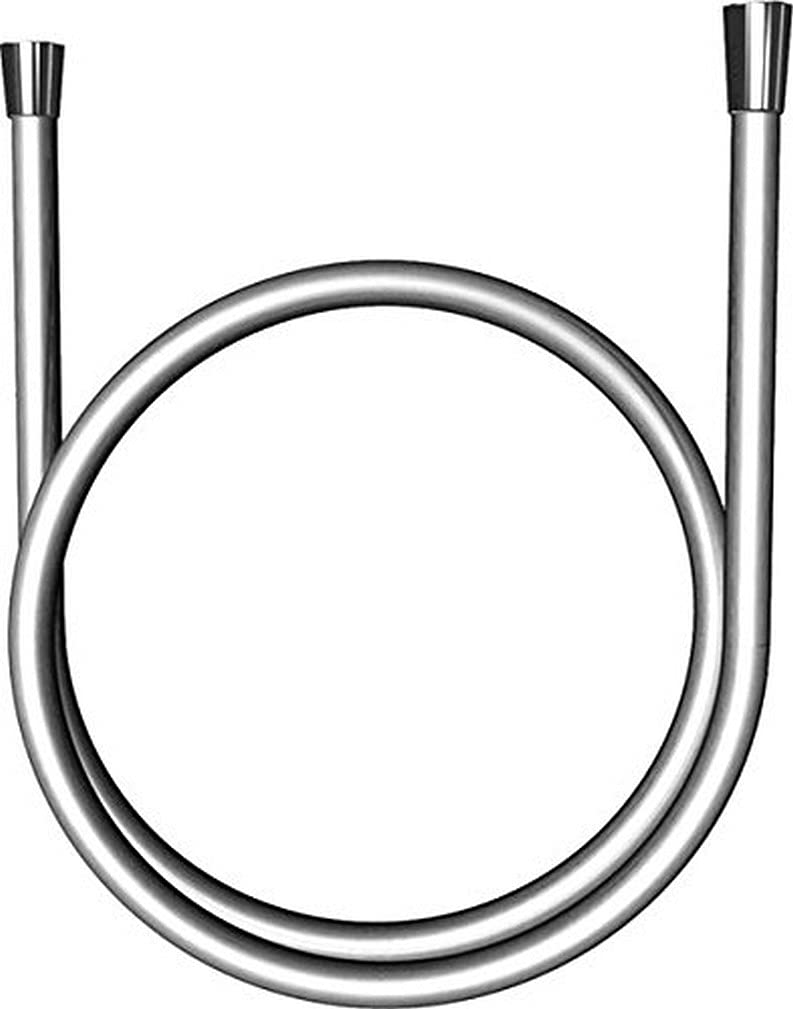 Hansa Silverjet Shower Hose 1750 mm, 54120300