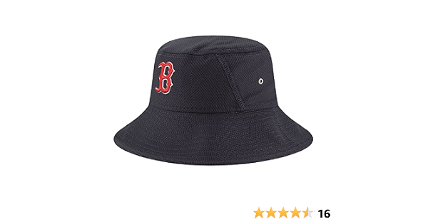 Amazon.com : MLB Boston Red Sox 2016 