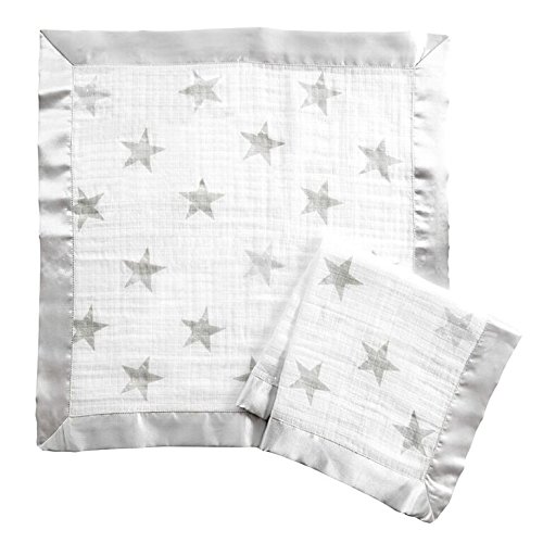 aden by aden + anais Security Blanket 2 Pack, Dusty