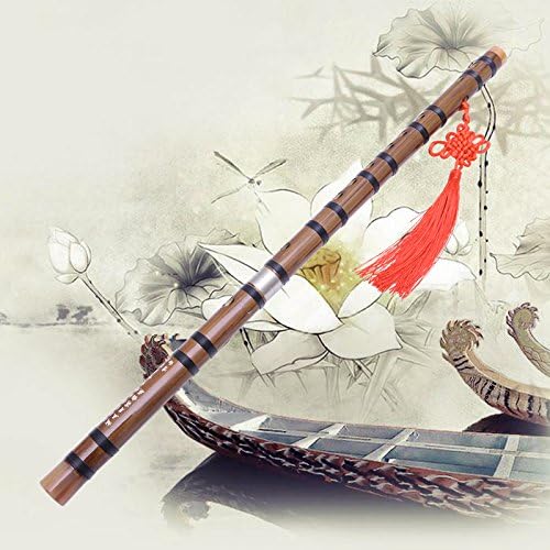SanHype(TM) Traditional Handmade Pluggable Chinese Woodwind Musical Instrument Bamboo Flute/Dizi In G Key