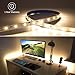 HitLights LED Strip Lights Warm White SMD 300LED 16.4FT 3528 LED Light Strip 3000K 12V DC Tape Lights for Home Kitchen Party Under Cabinet and More - 2nd Gen