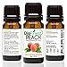 BioFinest Peach Fragrance Oil - 100% Pure & Natural - Fresh Home Scent - Air Refresher - Relaxing Aromatherapy - Skin and Hair Care - FREE E-Book (10ml)