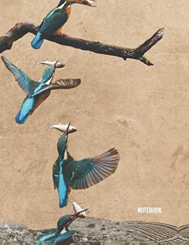 Notebook: Kingfisher Bird Theme Cover Journal Cahier Large: 8.5 x 11 100 Lined Pages Notebook for Notes, Ideas, Observations, Sketches