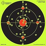 Splatterburst Targets - 12 inch Multi-Bullseye