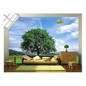Tree on Green Field - Removable Wall Mural | Self-Adhesive Large Wallpaper - 66x96 inches