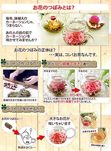 Amazon カーネーション茶 ティーポット お花のつぼみ 母の日 母の日ギフト フラワーセット 母の日21 花 お茶 工芸茶 5月7日 金 から9日 日 お届け 彩香 中国茶 通販 Amazon カーネーション茶 ティーポット お花のつぼみ 母の日 母の日ギフト フラワーセット 母の日21 花 お茶 工芸茶 5月7日 金 から9日 日 お届け 彩香 中国茶 通販