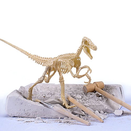 MCpinky Dinosaur Fossil Toys, Dinosaur Skeleton Bones Toy Excavation Science Kit Archaeology Paleontology Study with Tools Dinosaur Luminous Toys