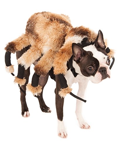 Rubies Costume Company Giant Spider Pet Suit