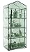 GOJOOASIS 4 Tier Mini Portable Garden Greenhouse Plants Shed Hot House for Indoor and Outdoor