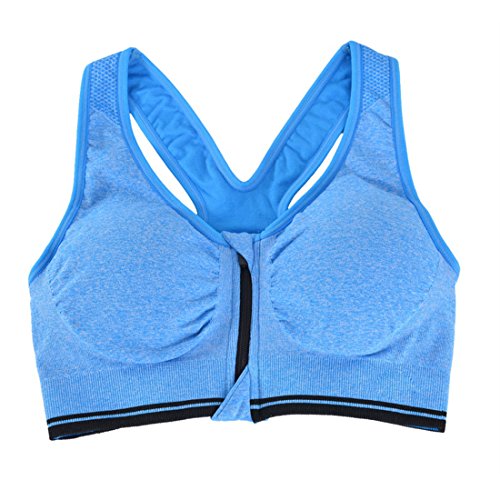 Encounter Women's Strech Removable Pads Front Zipped Comfort Sports Bra (XL, Skyblue)