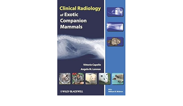 ルカリ Exotic Companion Mammals 洋書診療 エキゾチックアニマル