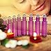 4 Pack - Essential Oil Roller Bottles [Metal Chrome Roller Ball] FREE Plastic Pippette, Funnel and Bottle Opener Refillable Glass Color Roll On for Fragrance Essential Oil - 10 ml 1/3 oz (Purple)