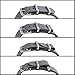 Archer Watch Straps | Nylon NATO Straps | Choice of Color and Size (White, 22mm)