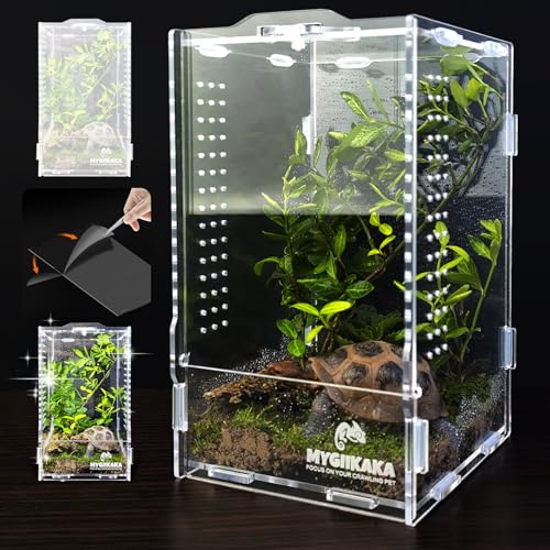 MYGIIKAKA Acrylic Jumping Spider Habitat