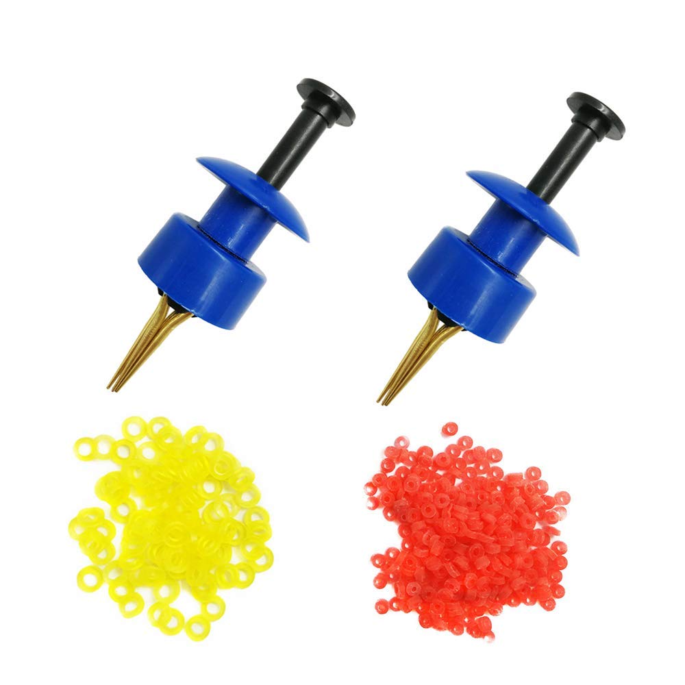 2X Pellet Bander Tool Micro Bait Bands Banding Match Coarse Fishing Terminal Tackle Set w/ 600 Bands (Blue)