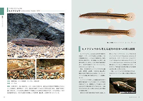 世界 温帯域の淡水魚図鑑 Amazon Com Books