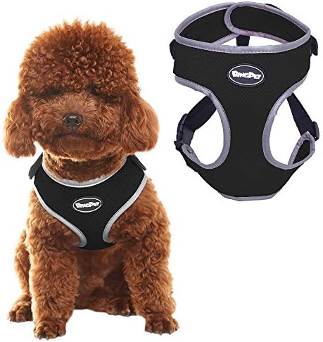 Pawsroad Reflective Dog Vest Harness - Adjustable No Pull Mesh Dog Harness for Medium to Small Dog Puppy Pet