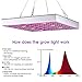 LED Grow Light, 45W Grow Lamp Kit with Full Spectrum High Efficiency LED Chips UV IR Red Blue Flowering Growing Light for Indoor Hydroponic Greenhouse Vegetable Veg and Flowers from Seeding to Harvest