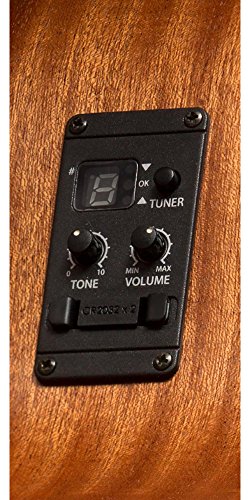 6 Taylor+GS+Acoustic+Electric+Bass+Regular