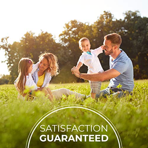 6 Milliard+Climbing+Assorted+Friendly+Mounting