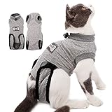 DogLemi Cat Recovery Suit for Abdominal Wounds and