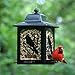 Perky-Pet 363 Birds and Berries Lantern Feeder