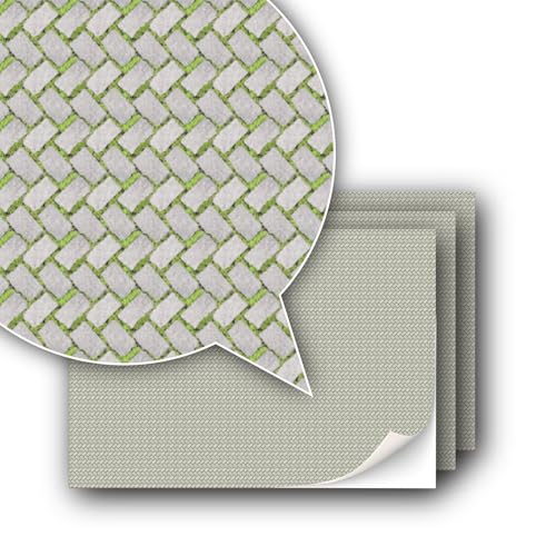 Paving Stones With Moss