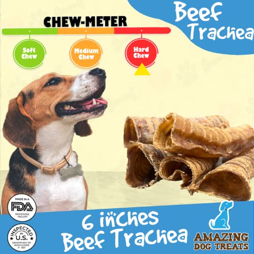 6 Inch Beef Trachea Dog Chews (6 Inch 100 Count Bulk) Trachea Dog Treats NO Hide