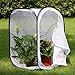 RESTCLOUD Insect and Butterfly Habitat Cage Terrarium Pop-up 23.6 Inches Tall