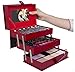 All In One Makeup Kit –  Eyeshadow, Blushes, Powder, Lipstick & More –  Highly Fashionable Red Leather Look Train Case 6” (Diagonal) Application Mirror –  Good for Beginners & Makeup Lovers