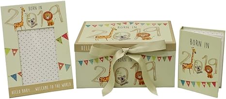 born in 2019 memory box