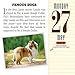 A Year of Dog Trivia Page-A-Day Calendar 2019