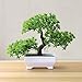 dezirZJjx Artificial Plants Welcoming Pine Bonsai Simulation Artificial Potted Plant Ornament Home Decor - Red